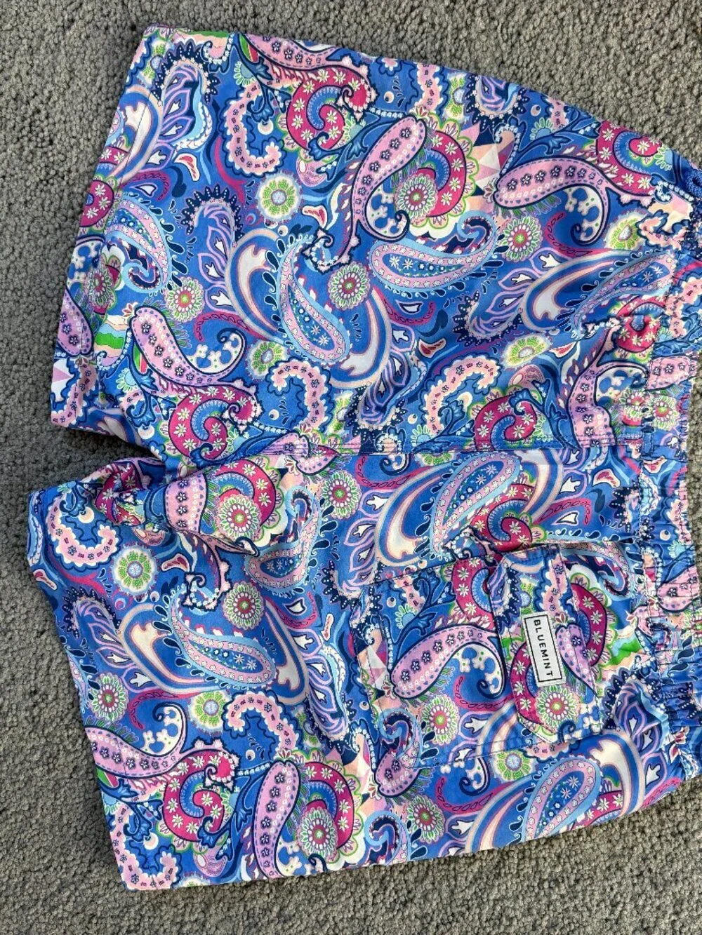Bluemint Arthus Swim Shorts - Size Large - New Without Tags Condition